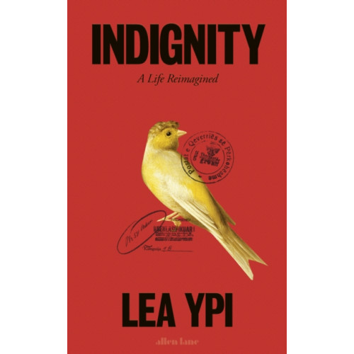 Penguin books ltd Indignity (inbunden, eng)