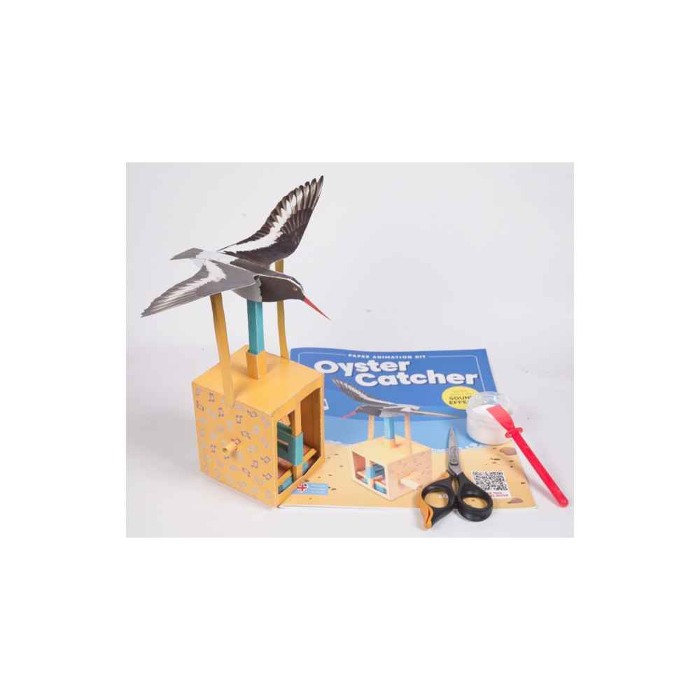 Produktbild för Oyster Catcher -Rob Ives Paper Animation Kit