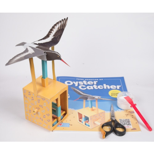 GO ON MAKE ME Oyster Catcher -Rob Ives Paper Animation Kit