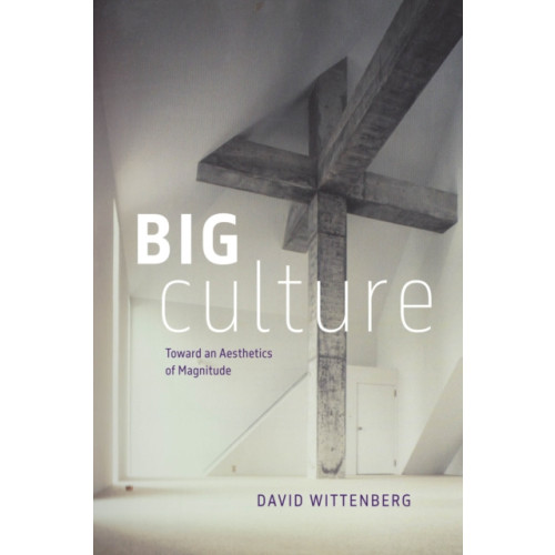 The university of chicago press Big Culture (häftad, eng)