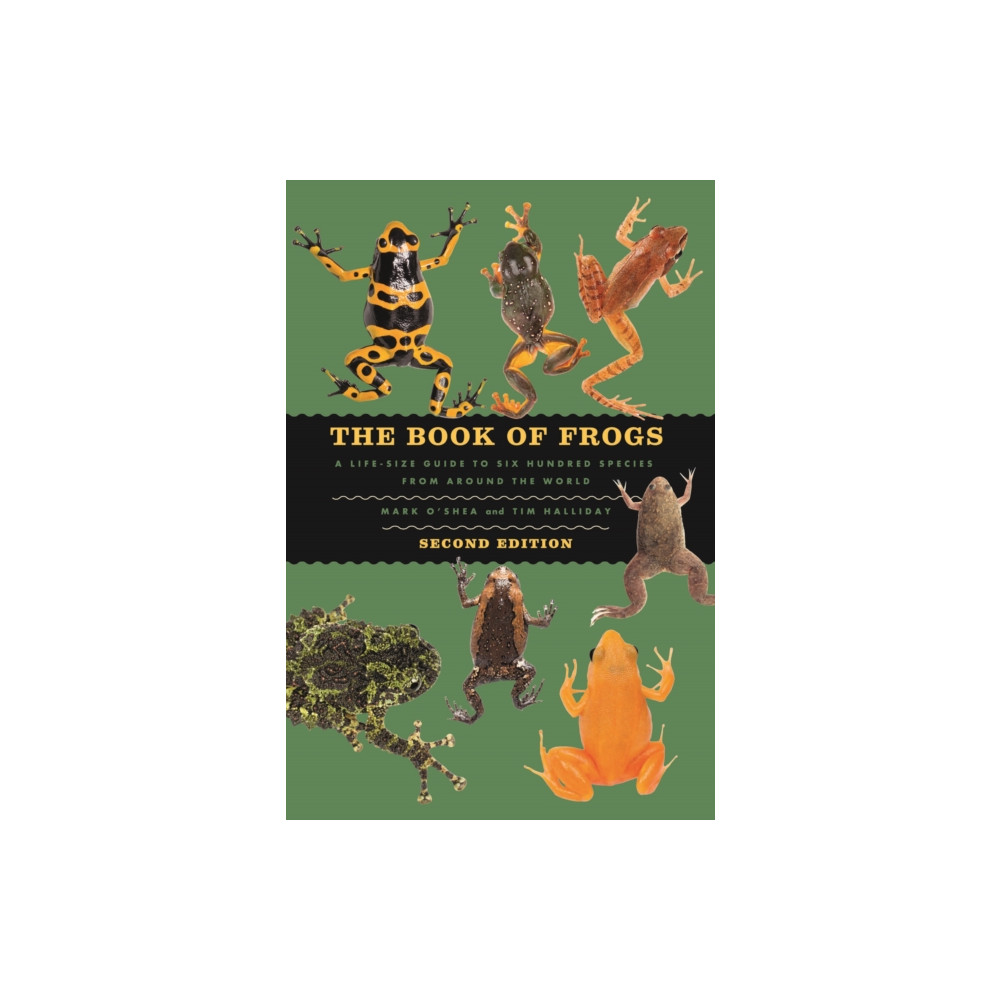 Produktbild för The Book of Frogs (inbunden, eng)