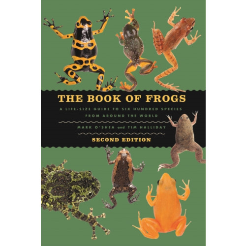 The university of chicago press The Book of Frogs (inbunden, eng)