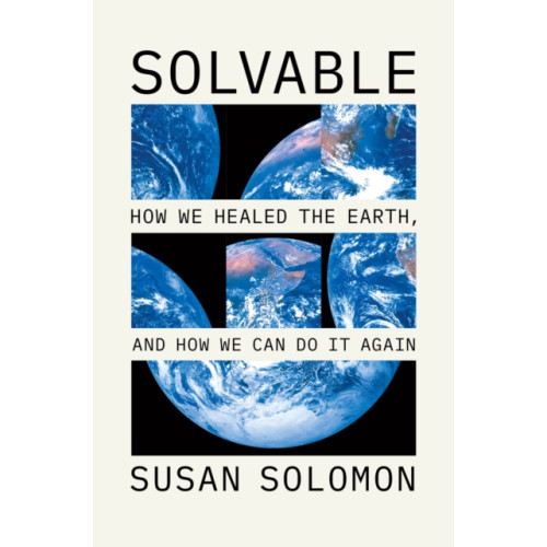 The university of chicago press Solvable (häftad, eng)