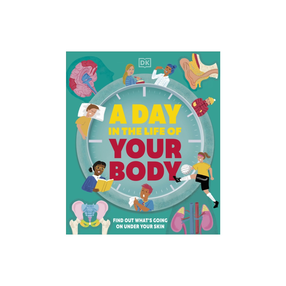 Produktbild för A Day in the Life of Your Body (inbunden, eng)