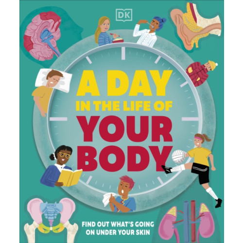 Dorling Kindersley Ltd A Day in the Life of Your Body (inbunden, eng)