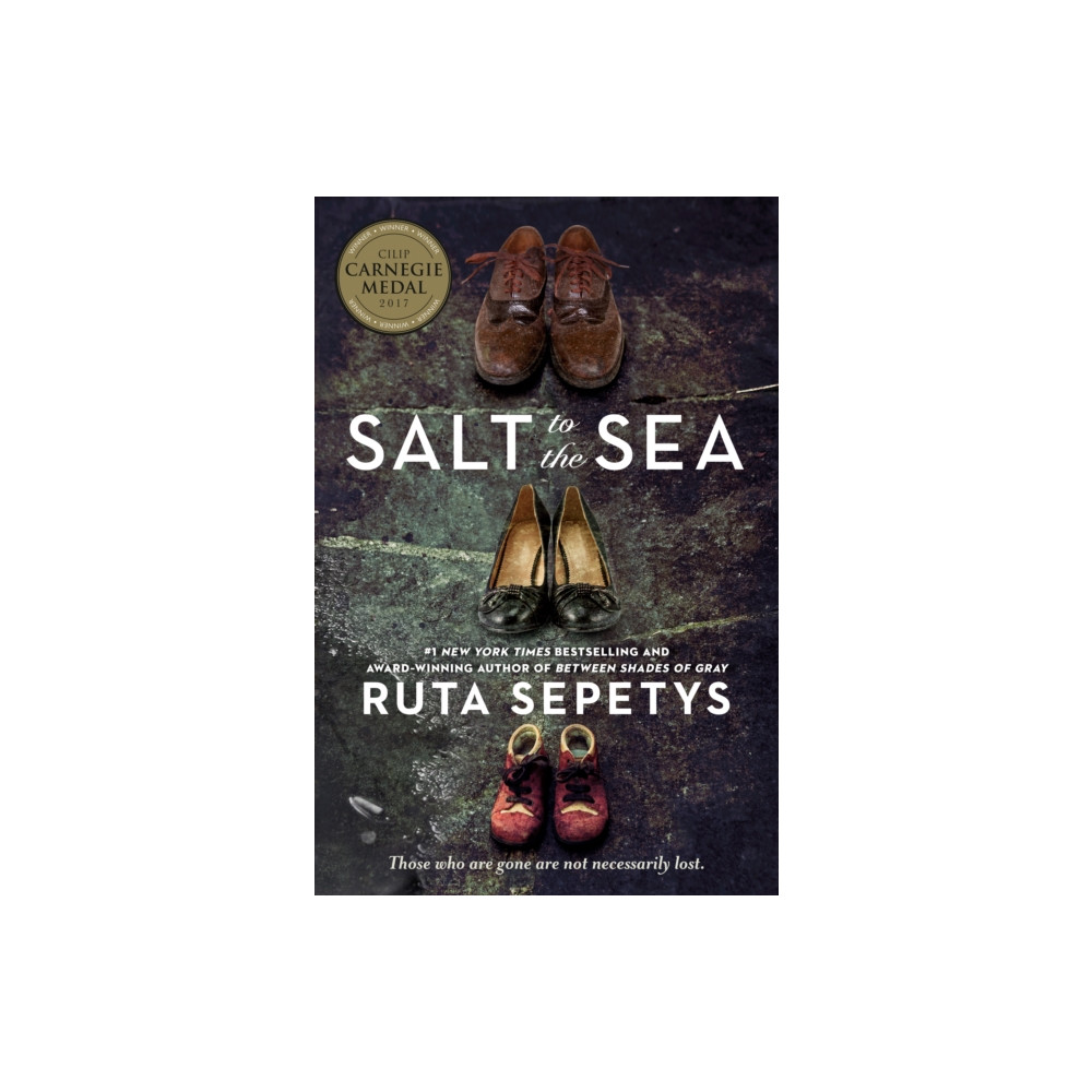 Produktbild för Salt to the Sea (häftad, eng)