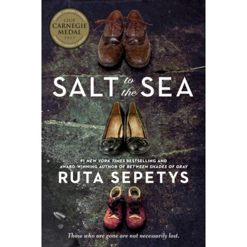 Not Stated Salt to the Sea (häftad, eng)