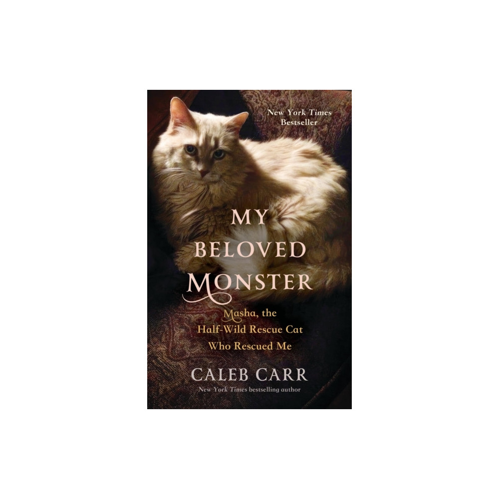 Produktbild för My Beloved Monster : Masha, the Half-Wild Rescue Cat Who Rescued Me (häftad, eng)