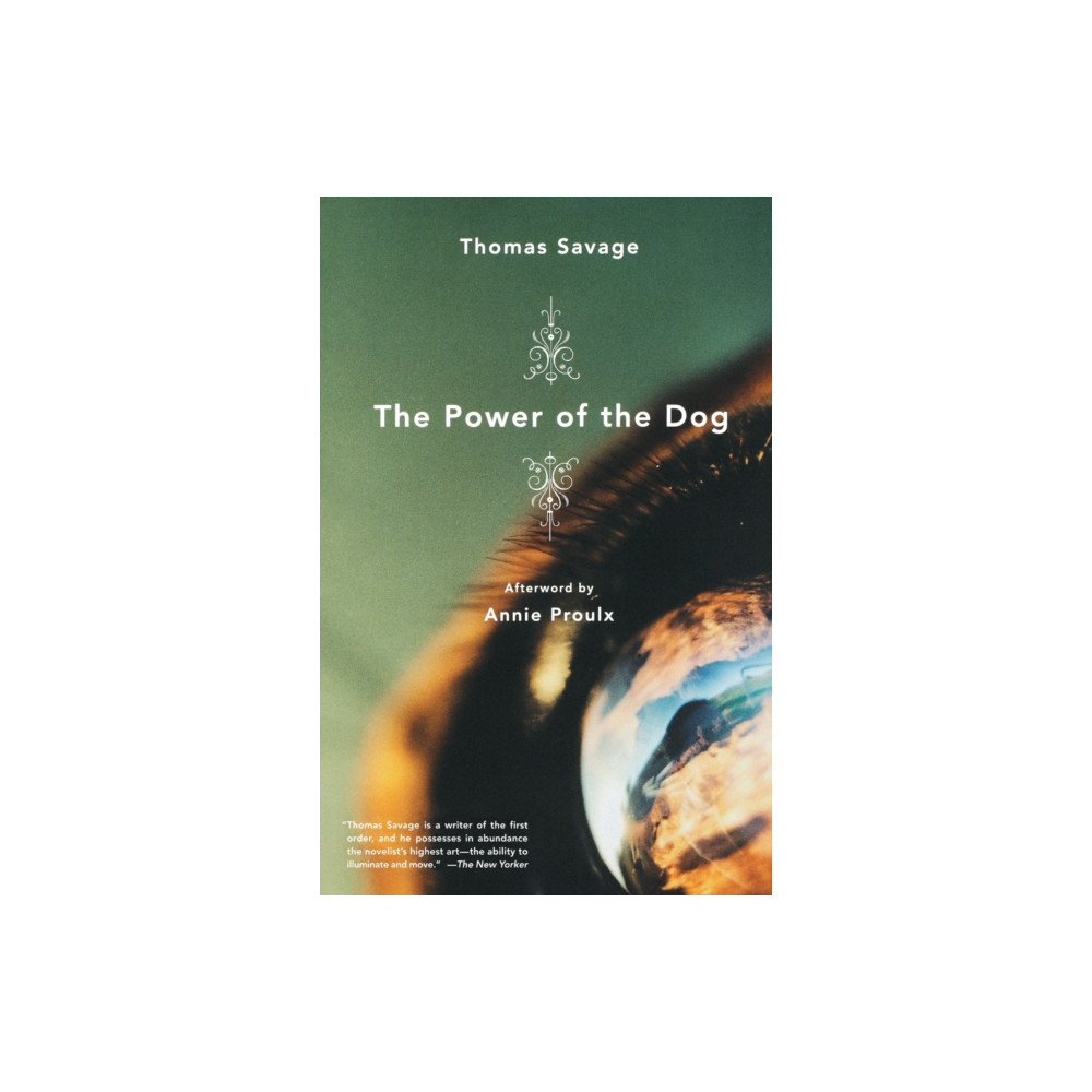 Produktbild för The Power of the Dog : A Novel (häftad, eng)