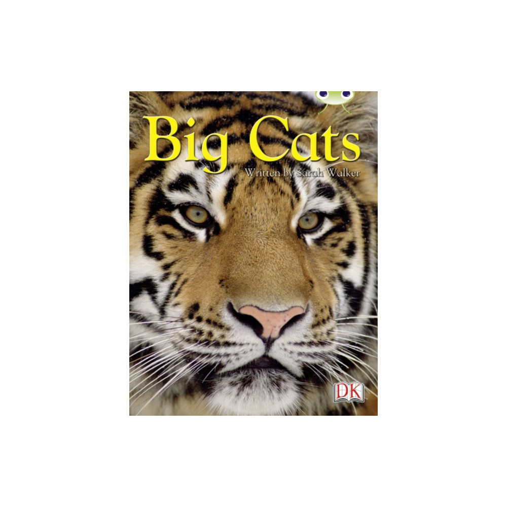Produktbild för BC NF Brown B/3B Big Cats (häftad, eng)
