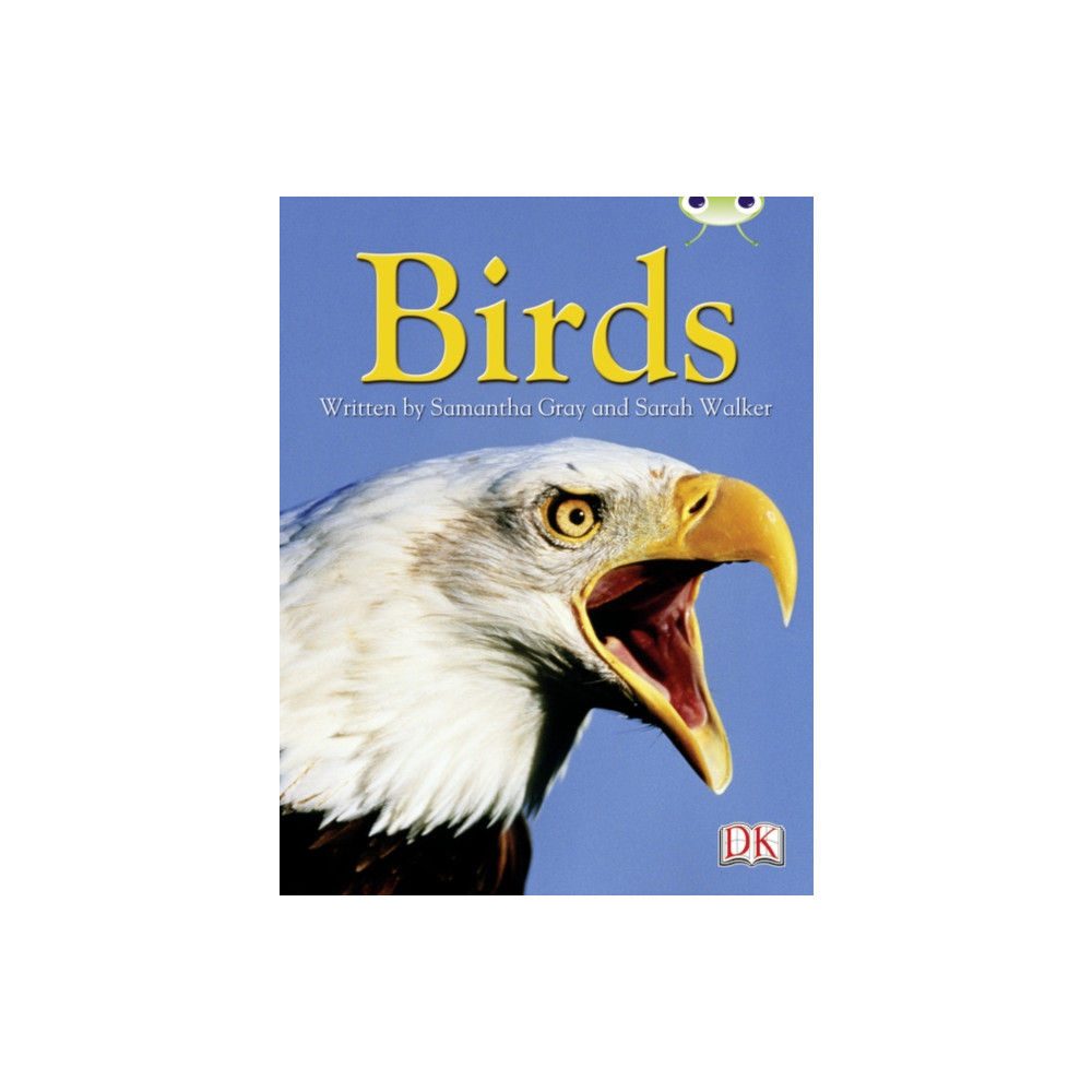 Produktbild för BC NF Grey B/4C Birds (häftad, eng)