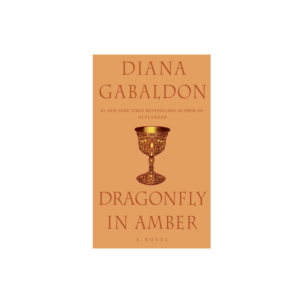 Produktbild för Dragonfly in Amber (häftad, eng)