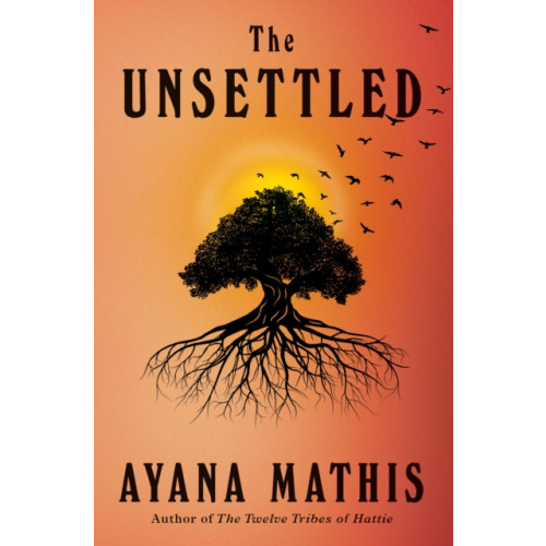 Not Stated The Unsettled (häftad, eng)