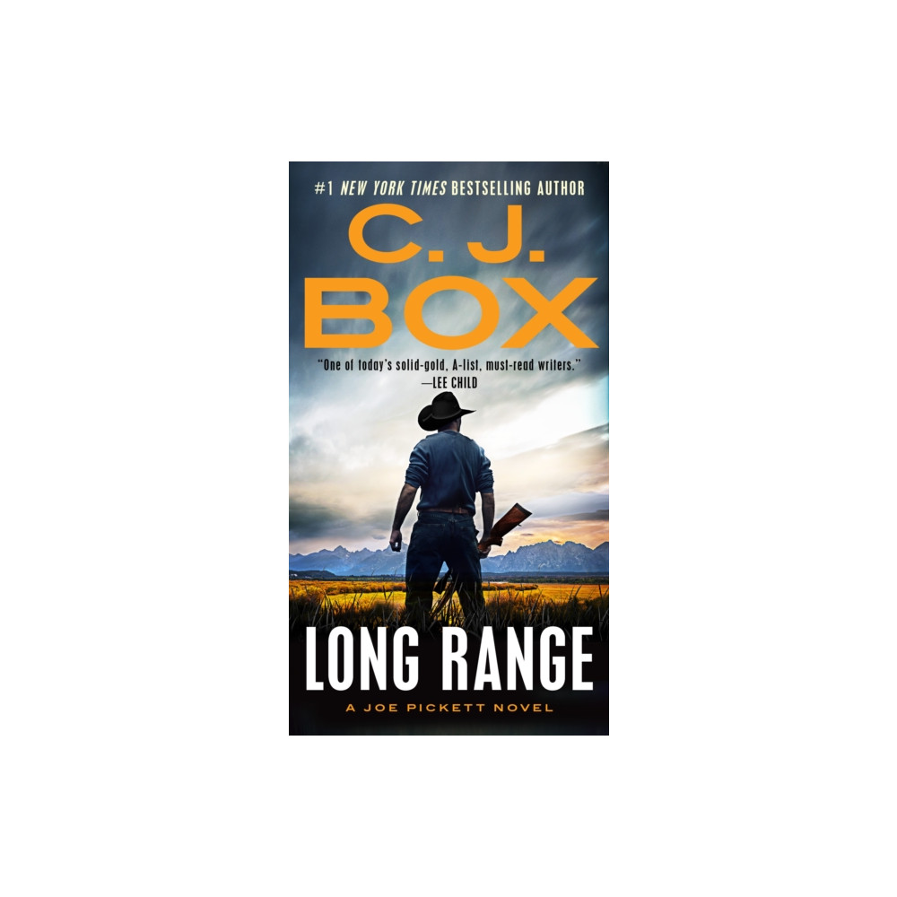Produktbild för Long Range (häftad, eng)