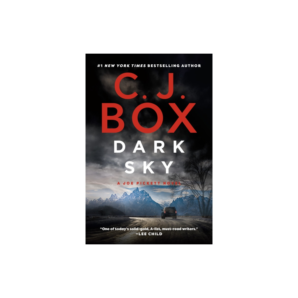 Produktbild för Dark Sky (häftad, eng)