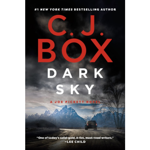 Not Stated Dark Sky (häftad, eng)