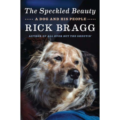 Not Stated The Speckled Beauty (häftad, eng)