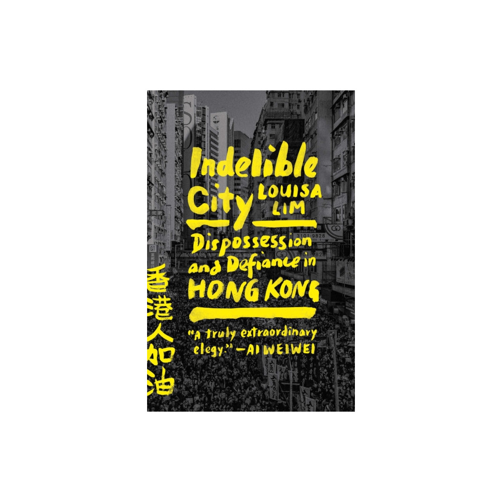 Produktbild för Indelible City (häftad, eng)