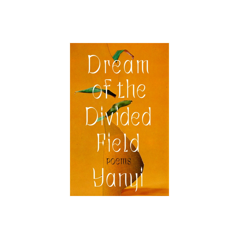 Produktbild för Dream of the Divided Field (häftad, eng)
