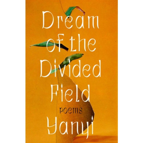 Not Stated Dream of the Divided Field (häftad, eng)