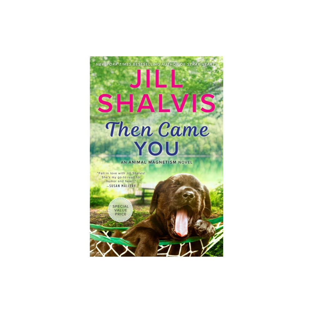 Produktbild för Then Came You (häftad, eng)