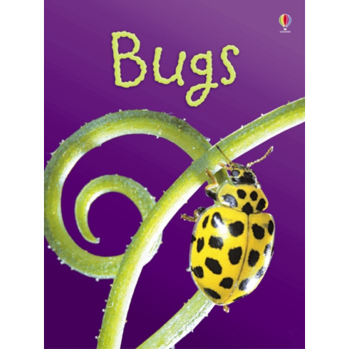 Usborne Publishing Ltd Bugs (inbunden, eng)