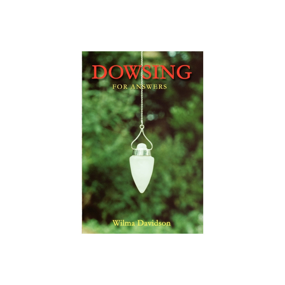 Produktbild för Dowsing for Answers (häftad, eng)
