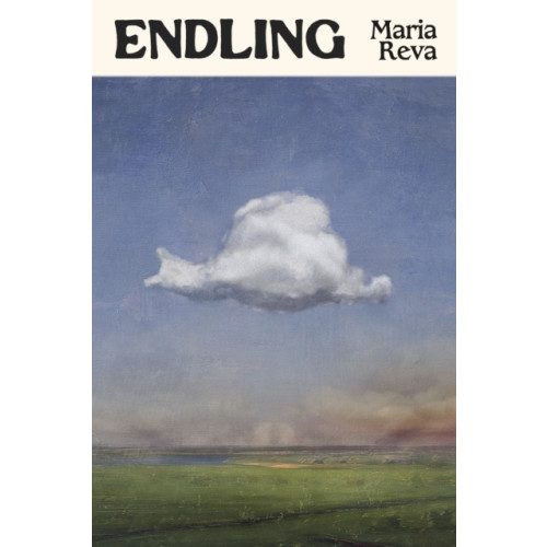 Little, Brown Endling (häftad, eng)