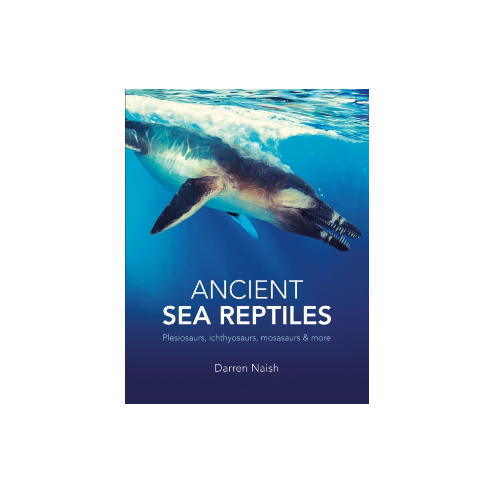 Produktbild för Ancient Sea Reptiles (häftad, eng)