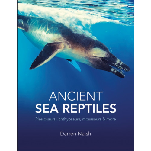 The Natural History Museum Ancient Sea Reptiles (häftad, eng)