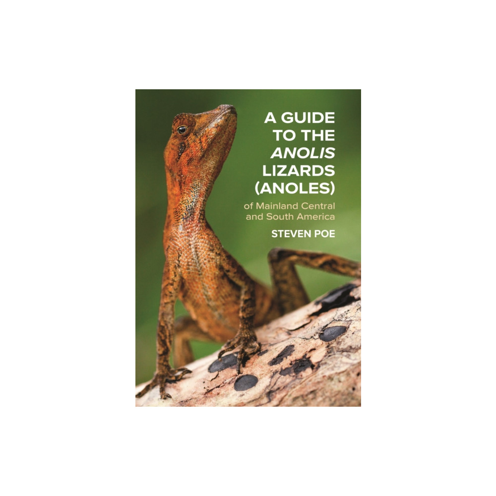 Produktbild för A Guide to the Anolis Lizards (Anoles) of Mainland Central and South America (häftad, eng)