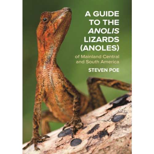 Princeton University Press A Guide to the Anolis Lizards (Anoles) of Mainland Central and South America (häftad, eng)