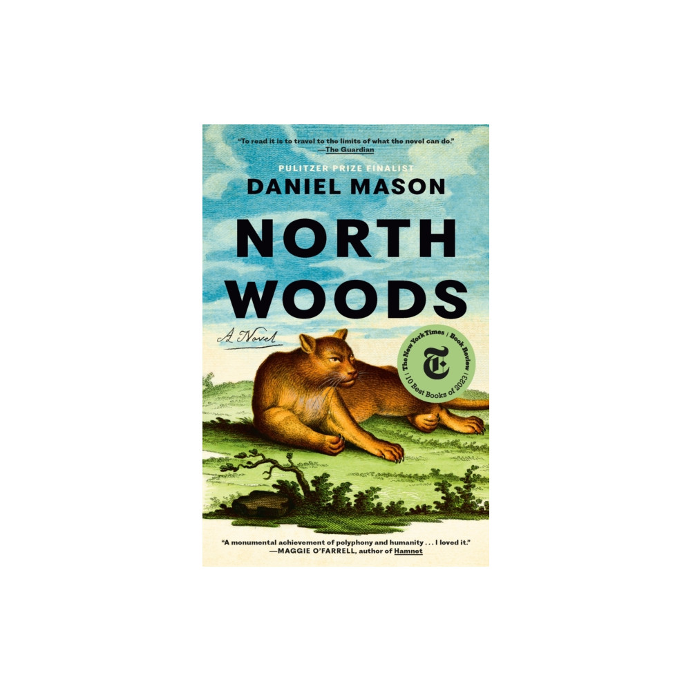 Produktbild för North Woods (häftad, eng)