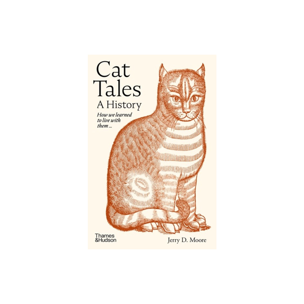 Produktbild för Cat Tales (inbunden, eng)