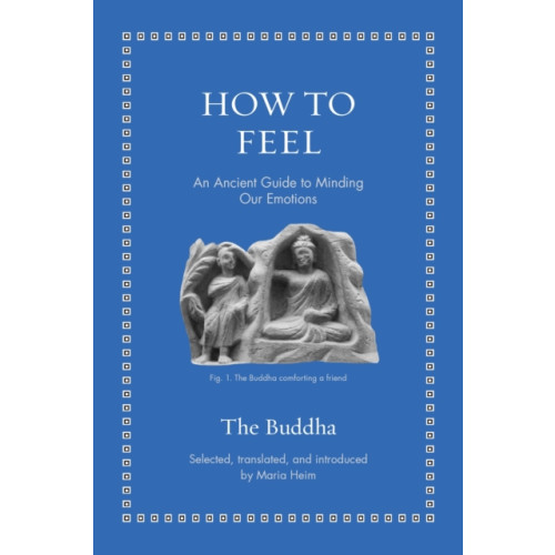 Princeton University Press How to Feel (inbunden, eng)