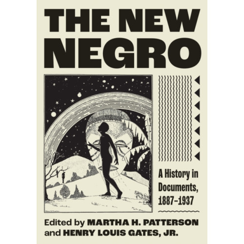 Princeton University Press The New Negro (häftad, eng)