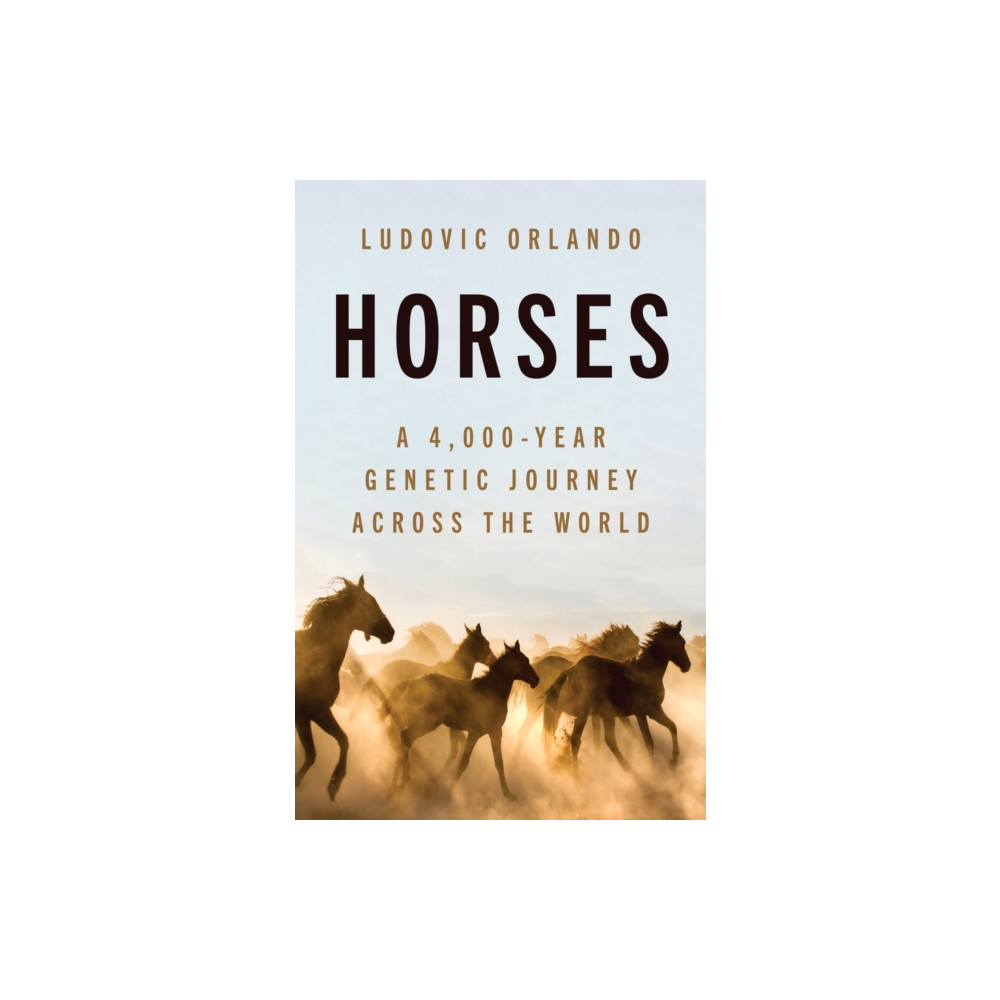 Produktbild för Horses (inbunden, eng)