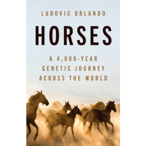 Princeton University Press Horses (inbunden, eng)
