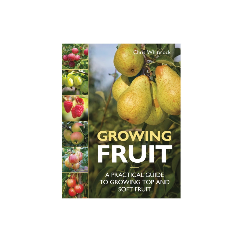 Produktbild för Growing Fruit (häftad, eng)