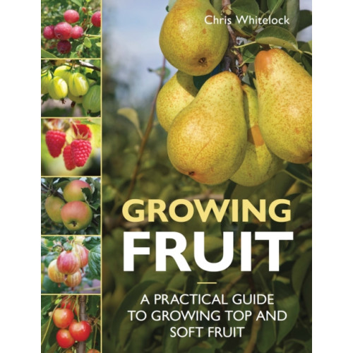 The Crowood Press Ltd Growing Fruit (häftad, eng)