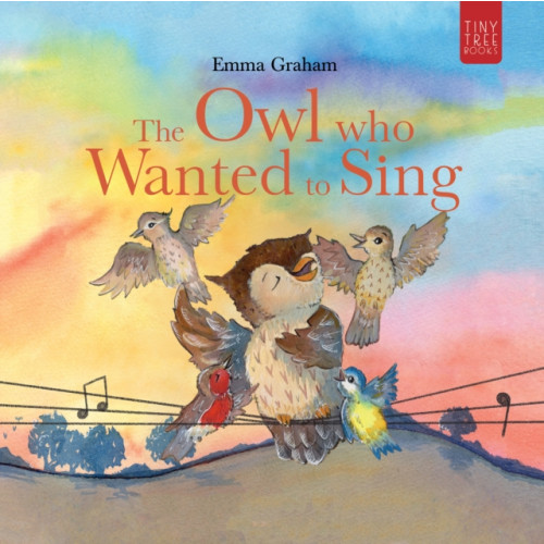 Andrews UK Limited The Owl Who Wanted to Sing (häftad, eng)