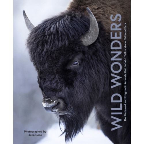 Quarto Publishing Group USA Inc Wild Wonders (inbunden, eng)