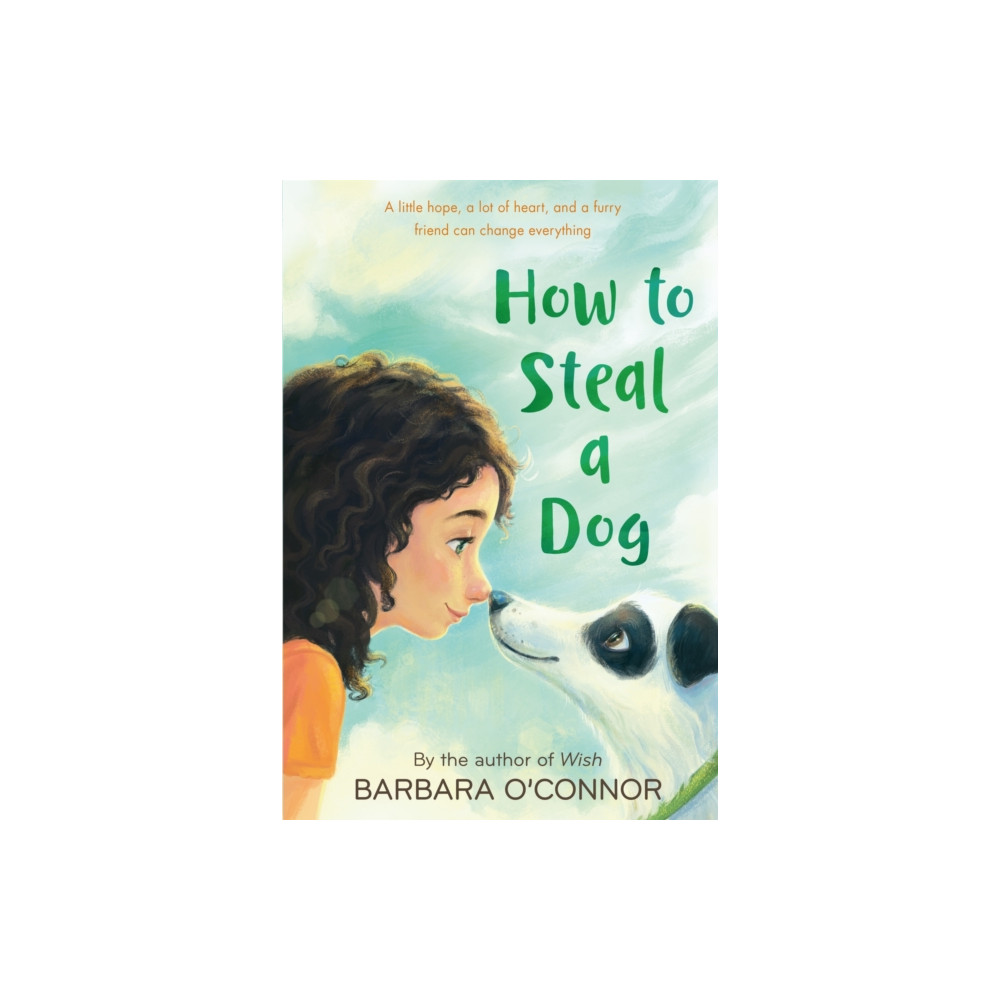 Produktbild för How to Steal a Dog (häftad, eng)