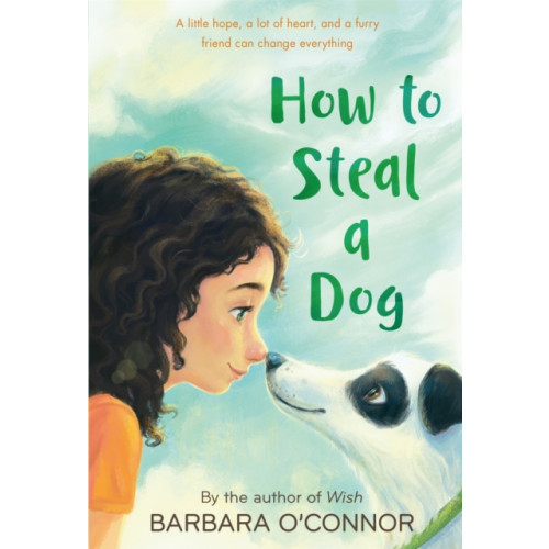 Square Fish How to Steal a Dog (häftad, eng)