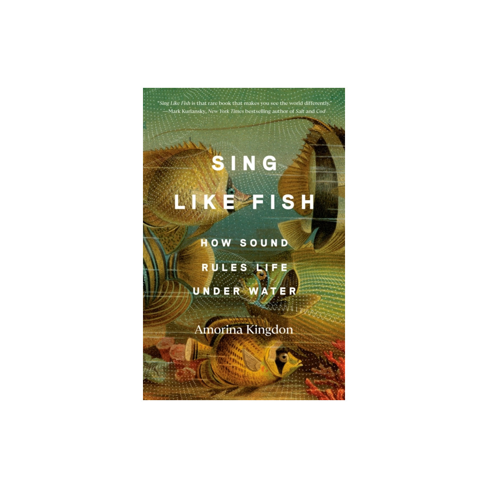 Produktbild för Sing Like Fish (häftad, eng)