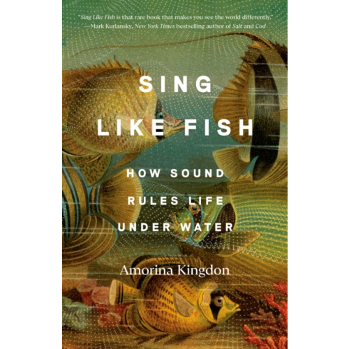 Not Stated Sing Like Fish (häftad, eng)