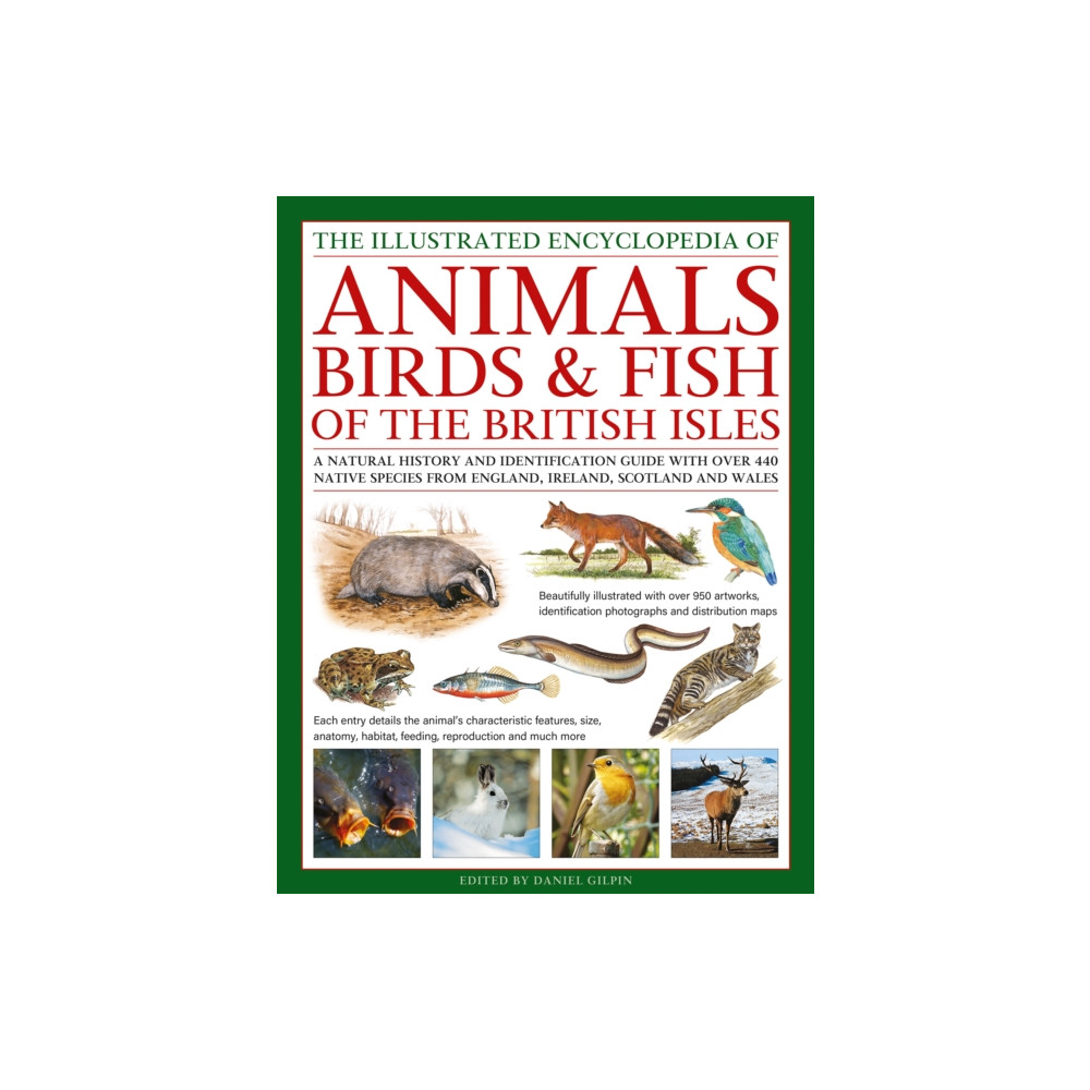 Produktbild för The Animals, Birds & Fish of the British Isles, Illustrated Guide to (inbunden, eng)