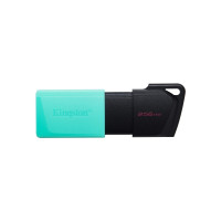 Produktbild för Kingston DataTraveler Exodia M - USB flash-enhet - 256 GB