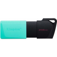 Produktbild för Kingston DataTraveler Exodia M - USB flash-enhet - 256 GB