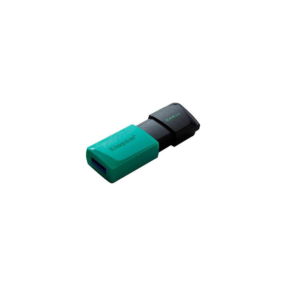Produktbild för Kingston DataTraveler Exodia M - USB flash-enhet - 256 GB